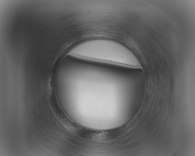 X0000073490116200607310927