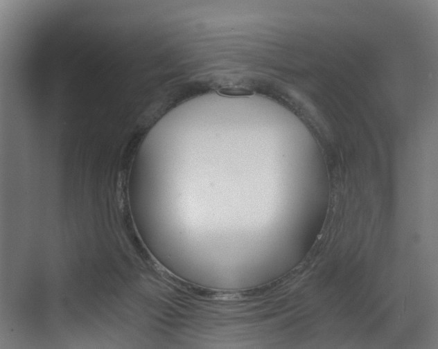 X0000073490121200607310927