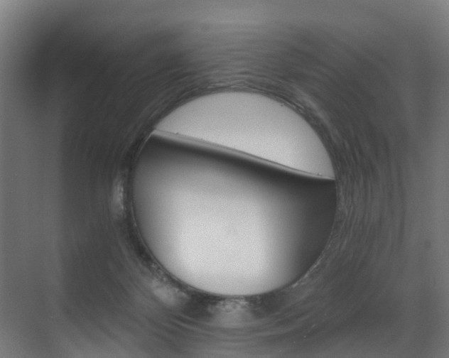 X0000073490124200607310927
