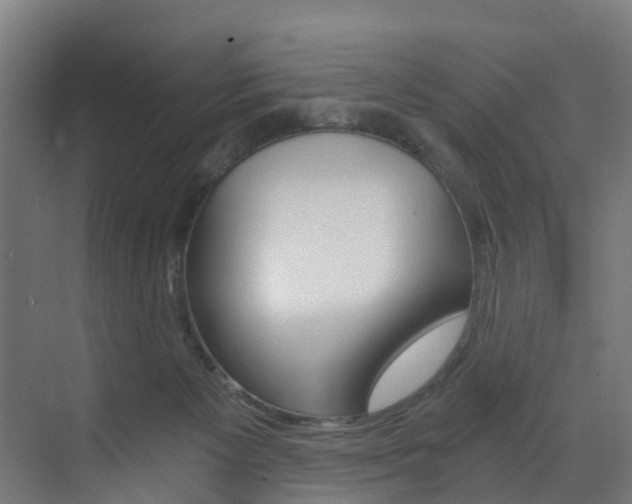 X0000073490125200607310927