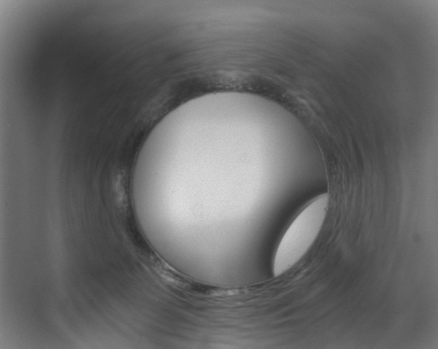 X0000073490131200607310926