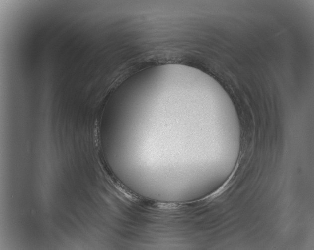 X0000073490144200607310926