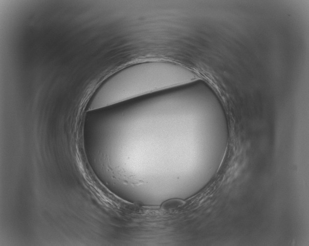 X0000073490145200607310925
