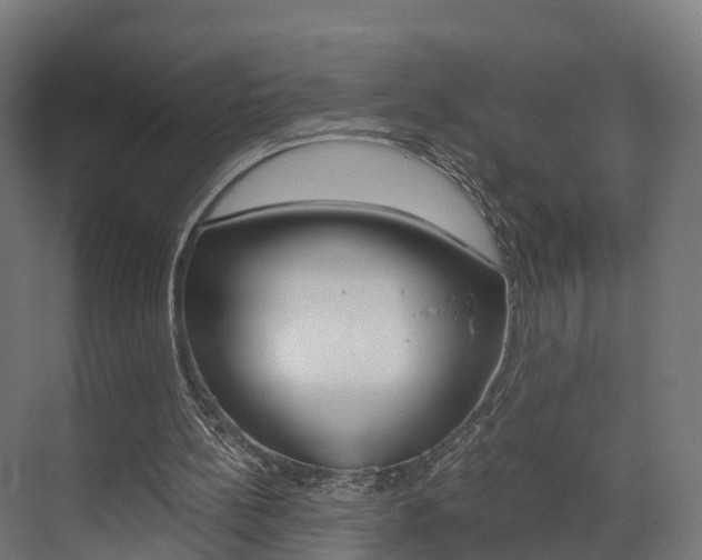 X0000073490148200607310926
