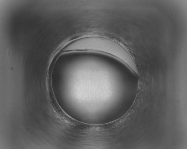 X0000073490152200607310926
