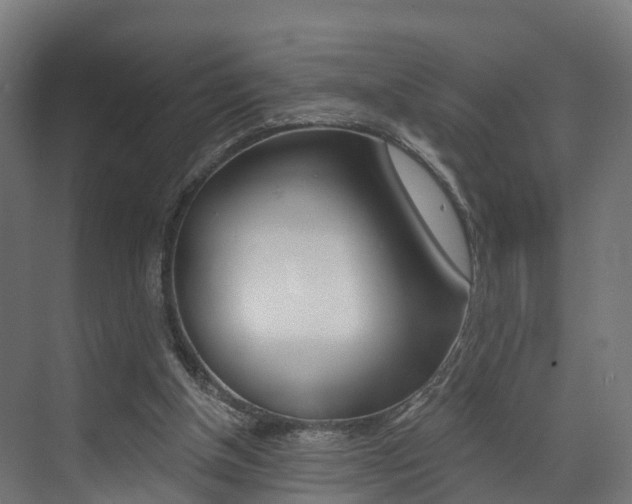 X0000073490154200607310926