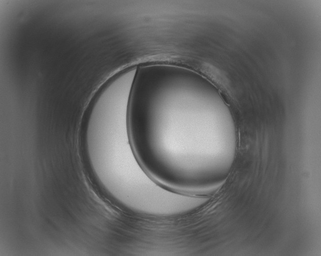 X0000073490156200607310926