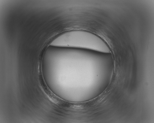 X0000073490157200607310926