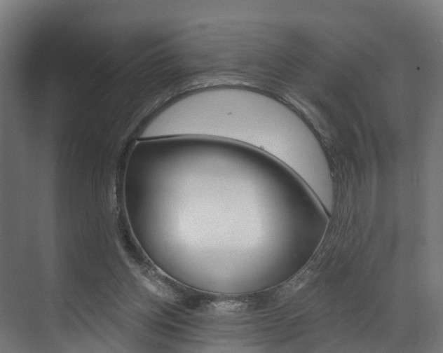 X0000073490158200607310926