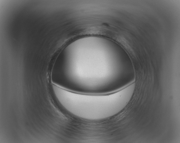X0000073490160200607310926