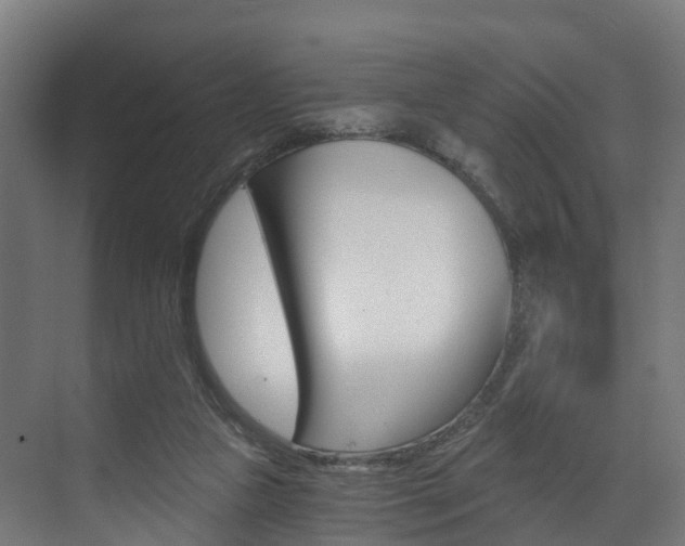 X0000073490161200607310926