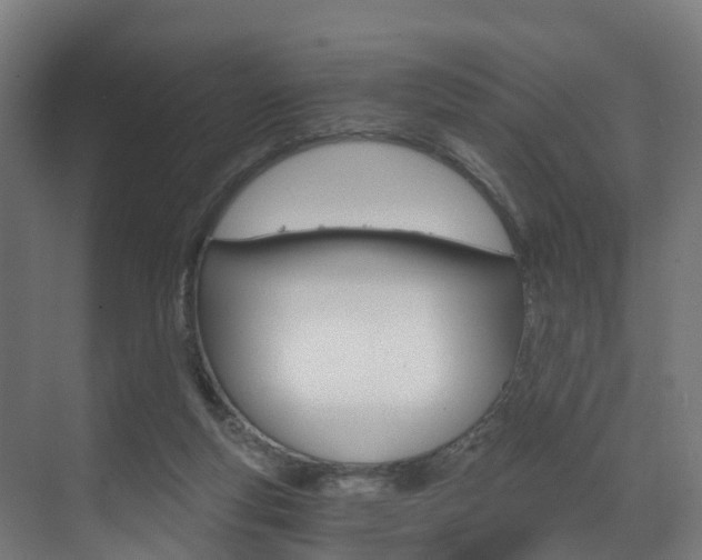 X0000073490163200607310926