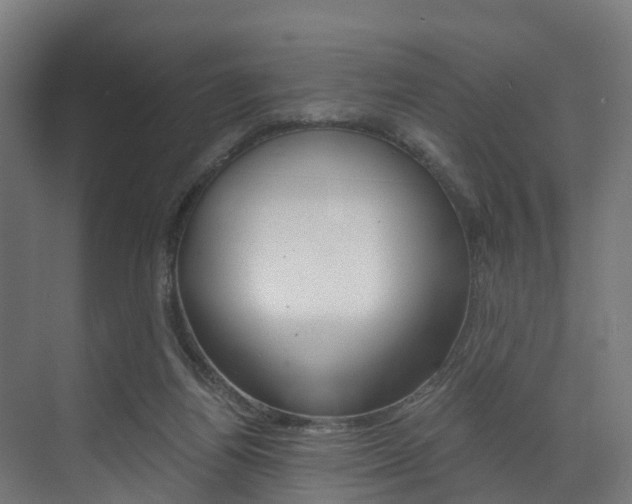 X0000073490164200607310926
