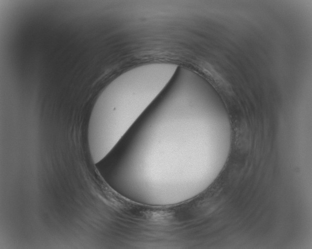 X0000073490165200607310926