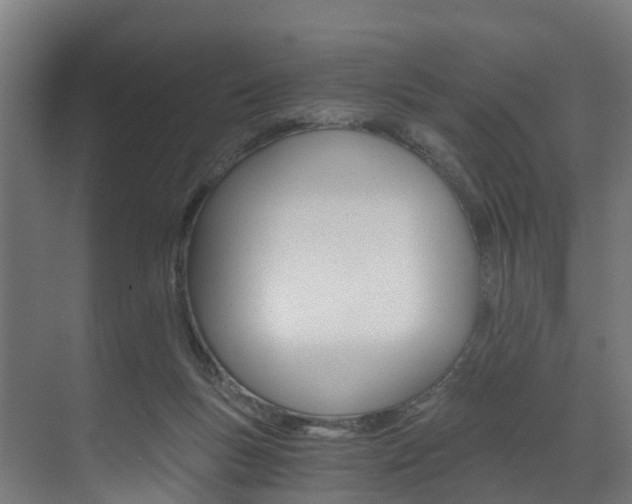X0000073490167200607310926