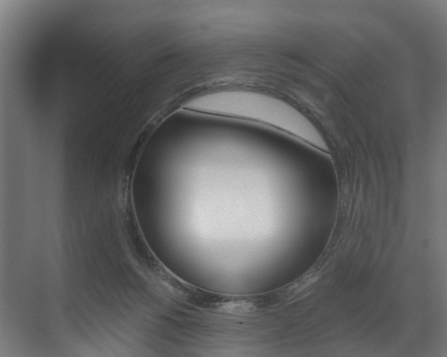 X0000073490168200607310926