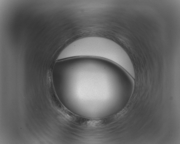 X0000073490172200607310926