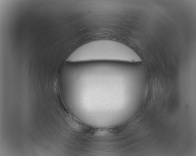 X0000073490177200607310926