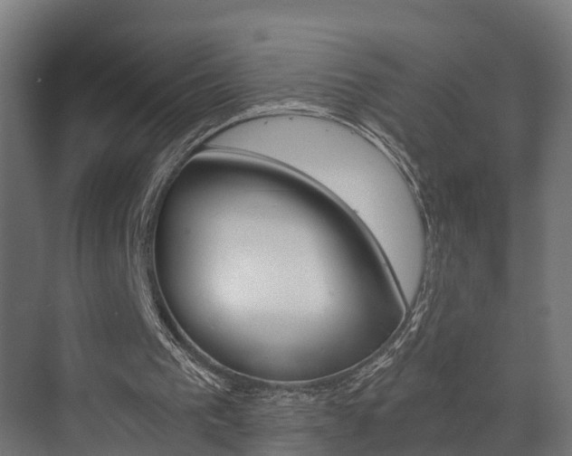 X0000073490193200607310925