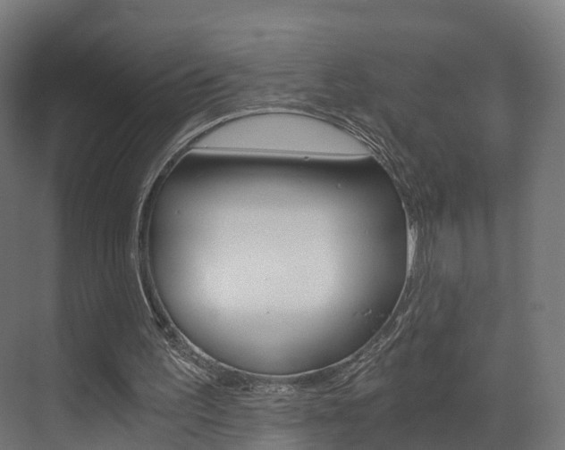 X0000073490195200607310925
