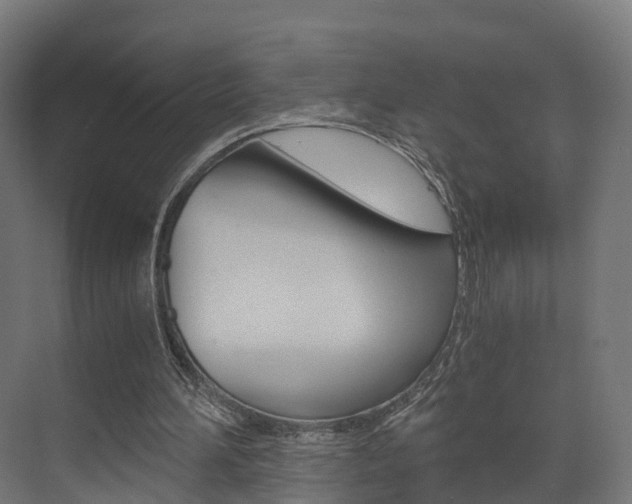 X0000073490196200607310925
