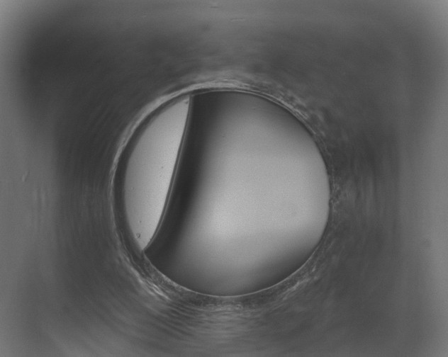 X0000073490200200607310925
