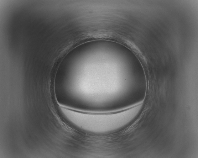 X0000073490201200607310925