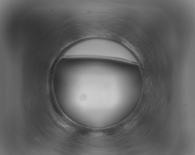 X0000073490203200607310925