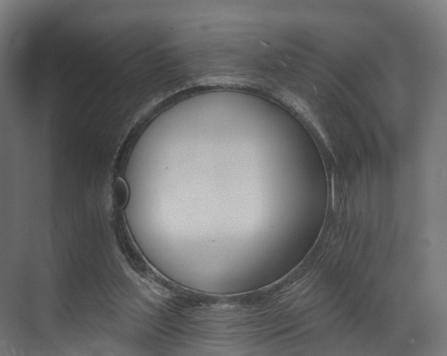 X0000073490204200607310925