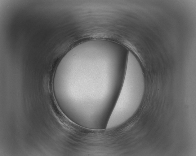 X0000073490205200607310925