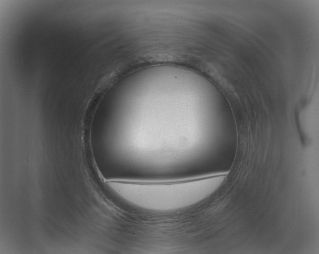 X0000073490207200607310925