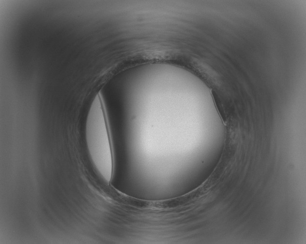 X0000073490211200607310925