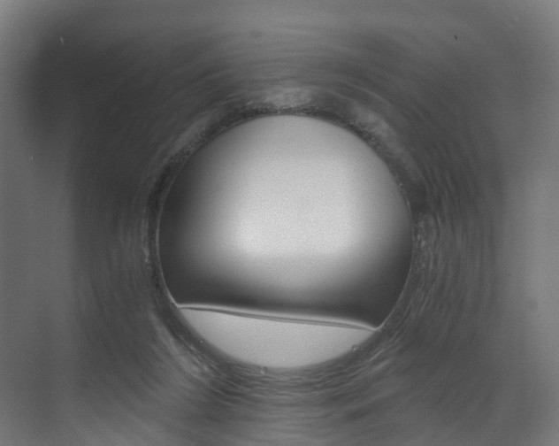X0000073490212200607310925