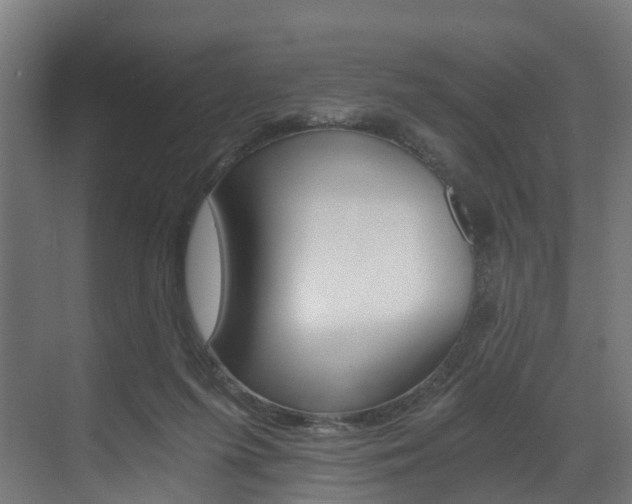 X0000073490215200607310925