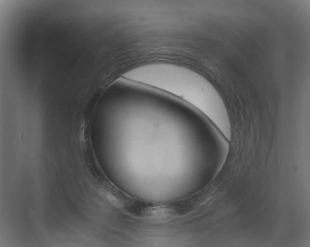 X0000073490219200607310925