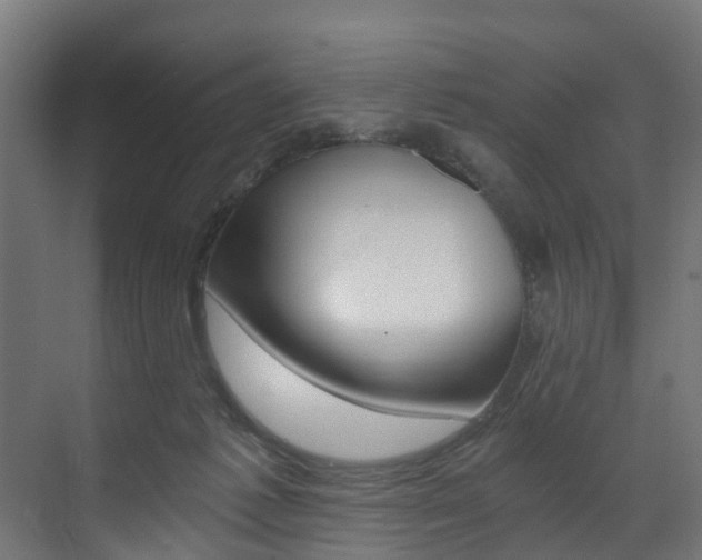 X0000073490221200607310925