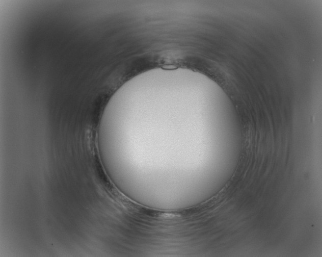 X0000073490222200607310925