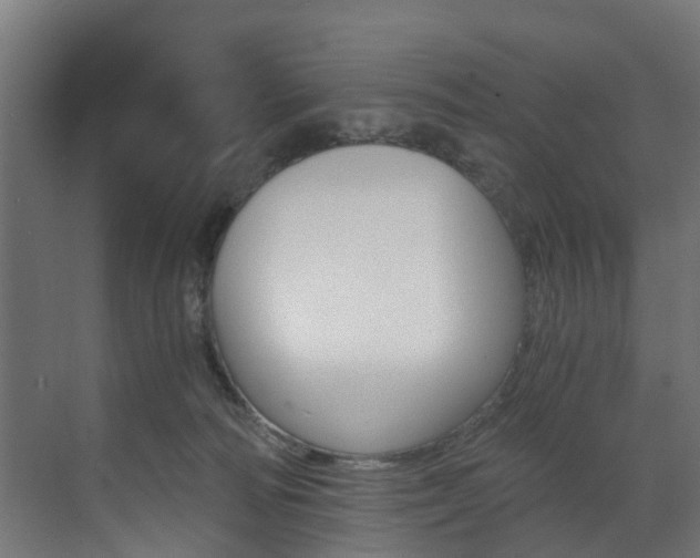 X0000073490226200607310925