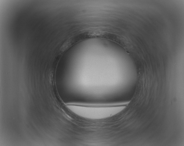 X0000073490227200607310925