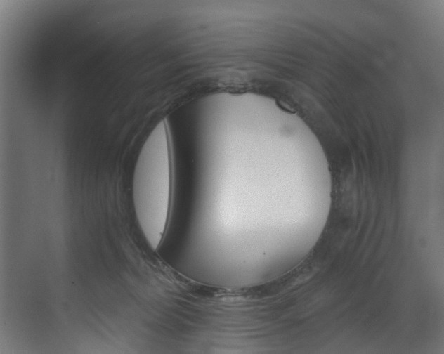 X0000073490228200607310925