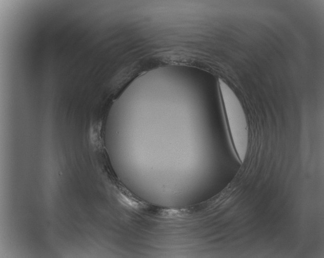X0000073490239200607310925