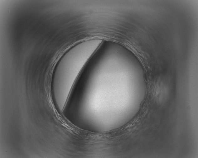 X0000073490241200607310924