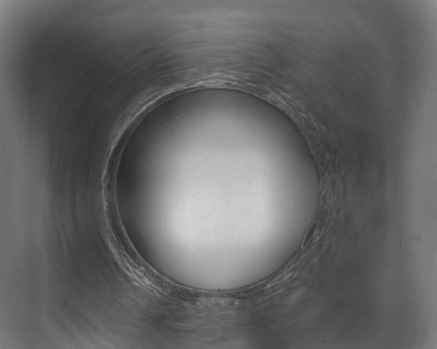 X0000073490242200607310924