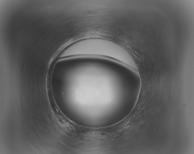 X0000073490244200607310924