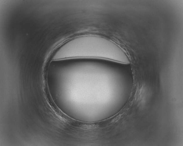 X0000073490245200607310924