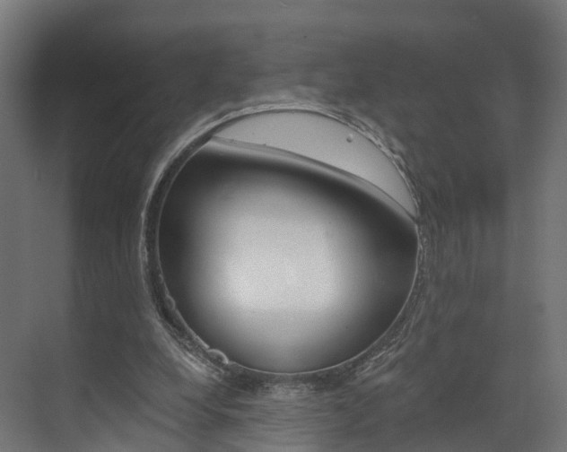 X0000073490248200607310924