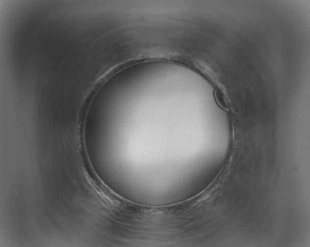 X0000073490249200607310924