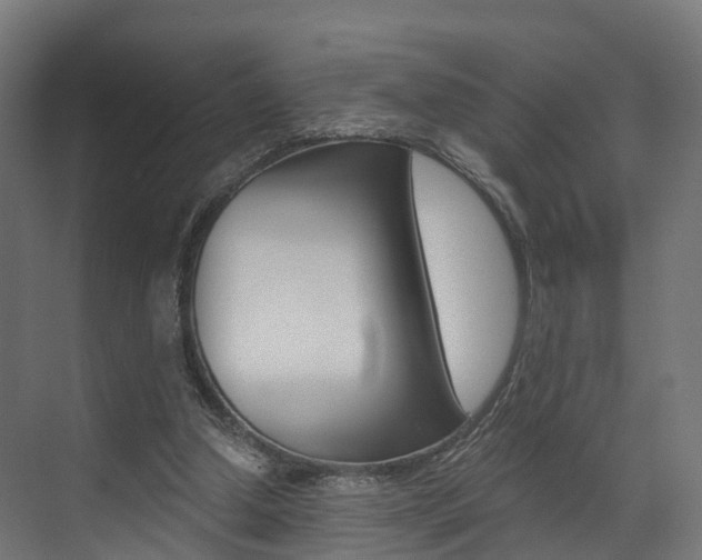 X0000073490250200607310924