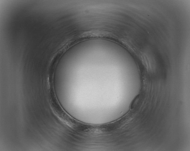 X0000073490254200607310924