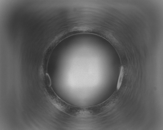X0000073490256200607310924